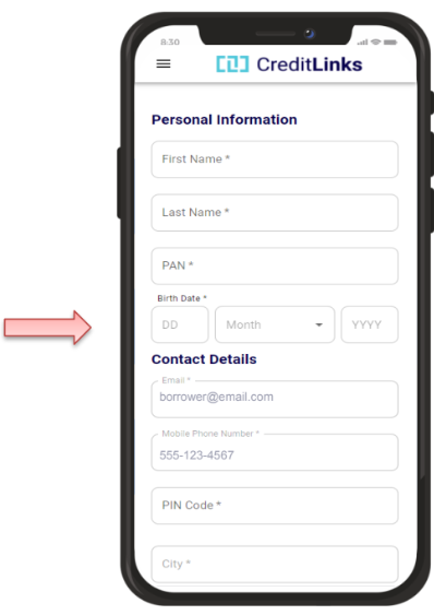 Personal Loan Input Details Screen